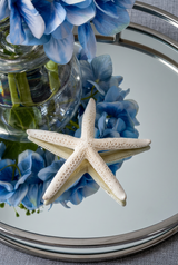 Decorative Starfish