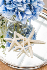 Decorative Starfish