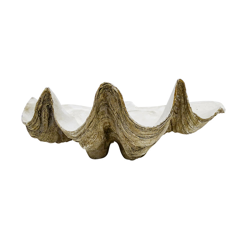 Medium Vintage Faux Clam Shell