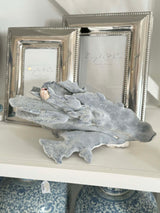 Large Specialty Blue Ridge Coral