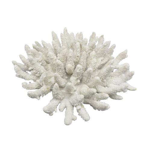 Faux White Finger Coral - SECONDS
