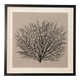 Black Framed Faux Sea Fan