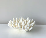Small Specialty Finger Coral