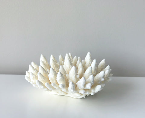 Small Specialty Finger Coral