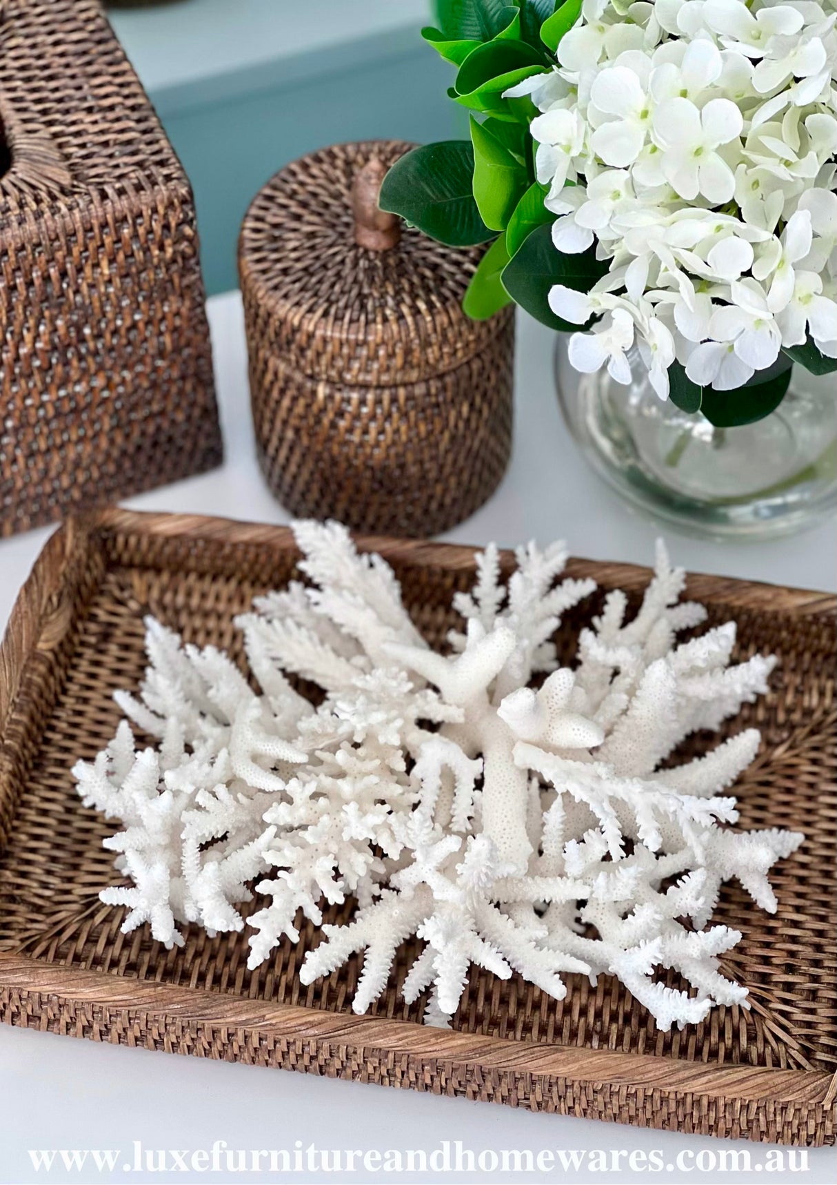 600g Mini White Coral Pieces