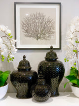 Black Framed Faux Sea Fan