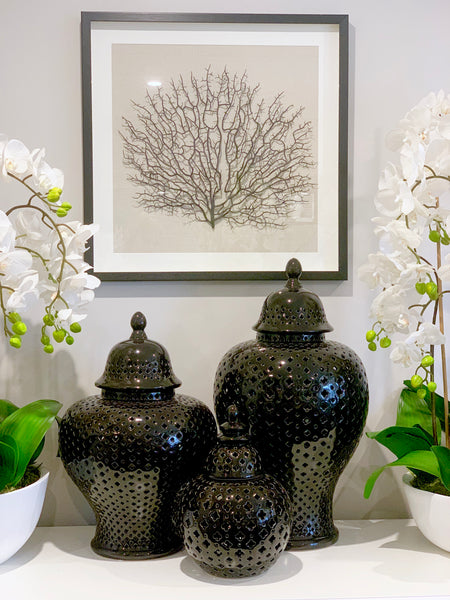Black Framed Faux Sea Fan - SAVE 25% OFF!